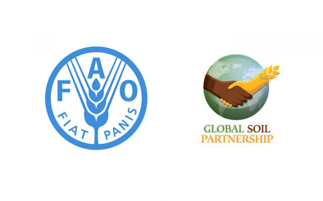 Update from Global Soil Partnership