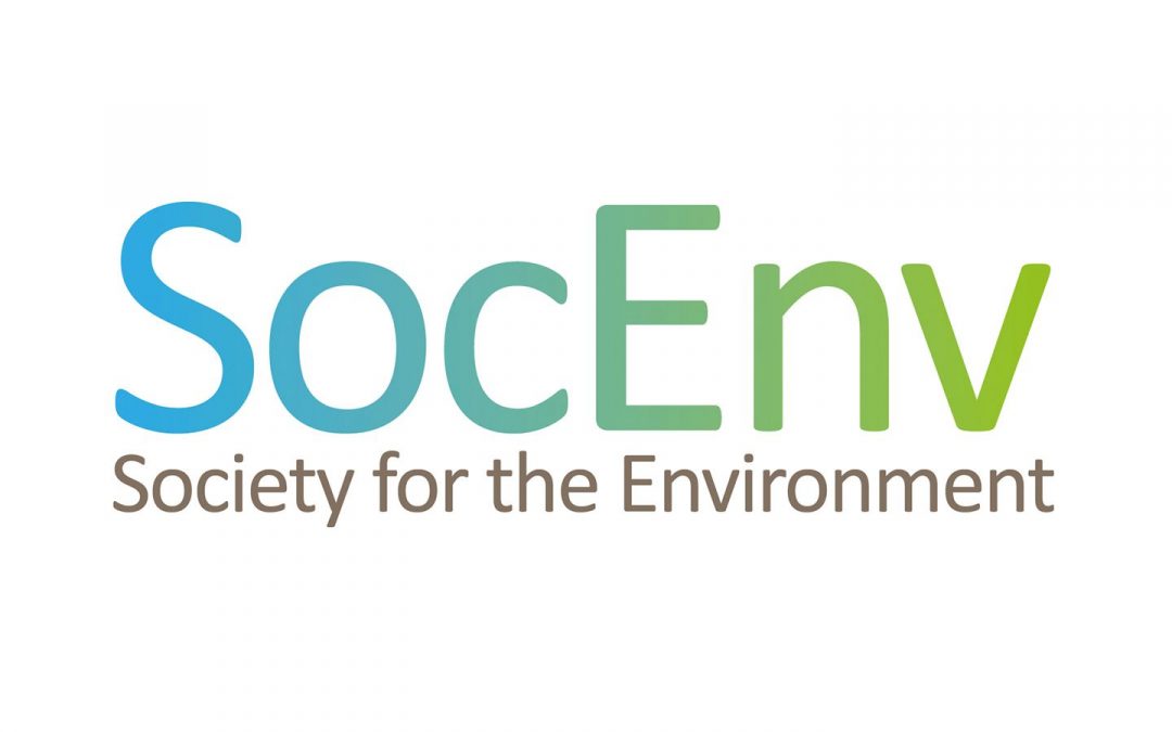 BSSS Supports SocEnv Report