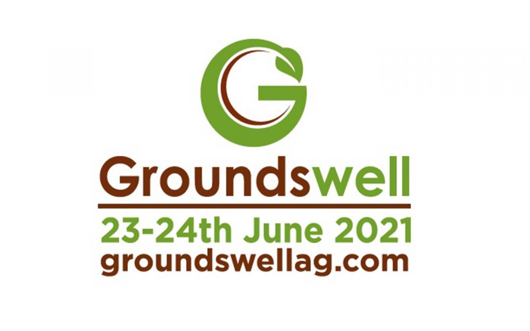 Groundswell 2021