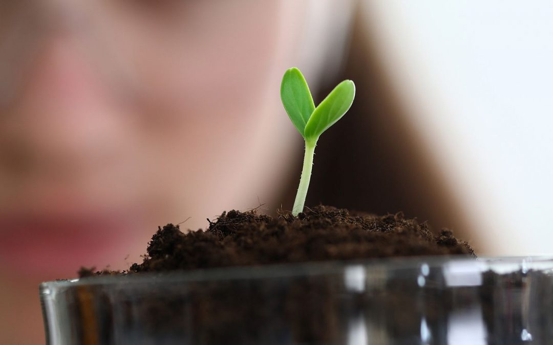 Annual Conference and AGM: Soil Health