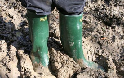 Soil Judging – Practitioners