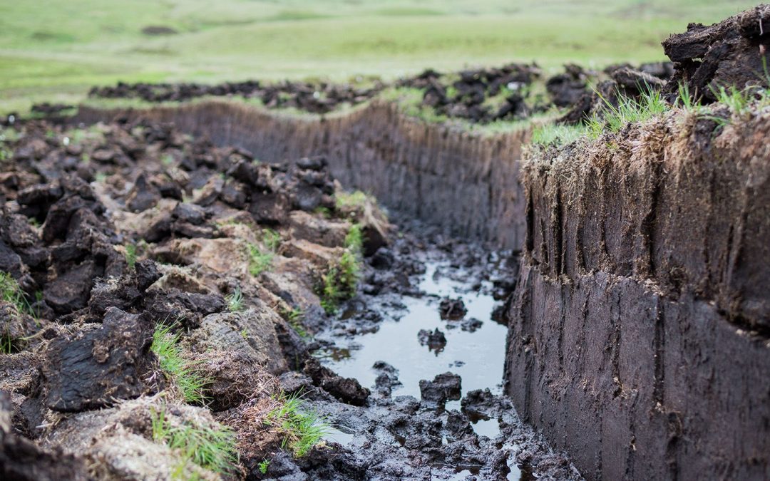 Restoring Scottish Peat to Combat Climate Change: An Update from COP26