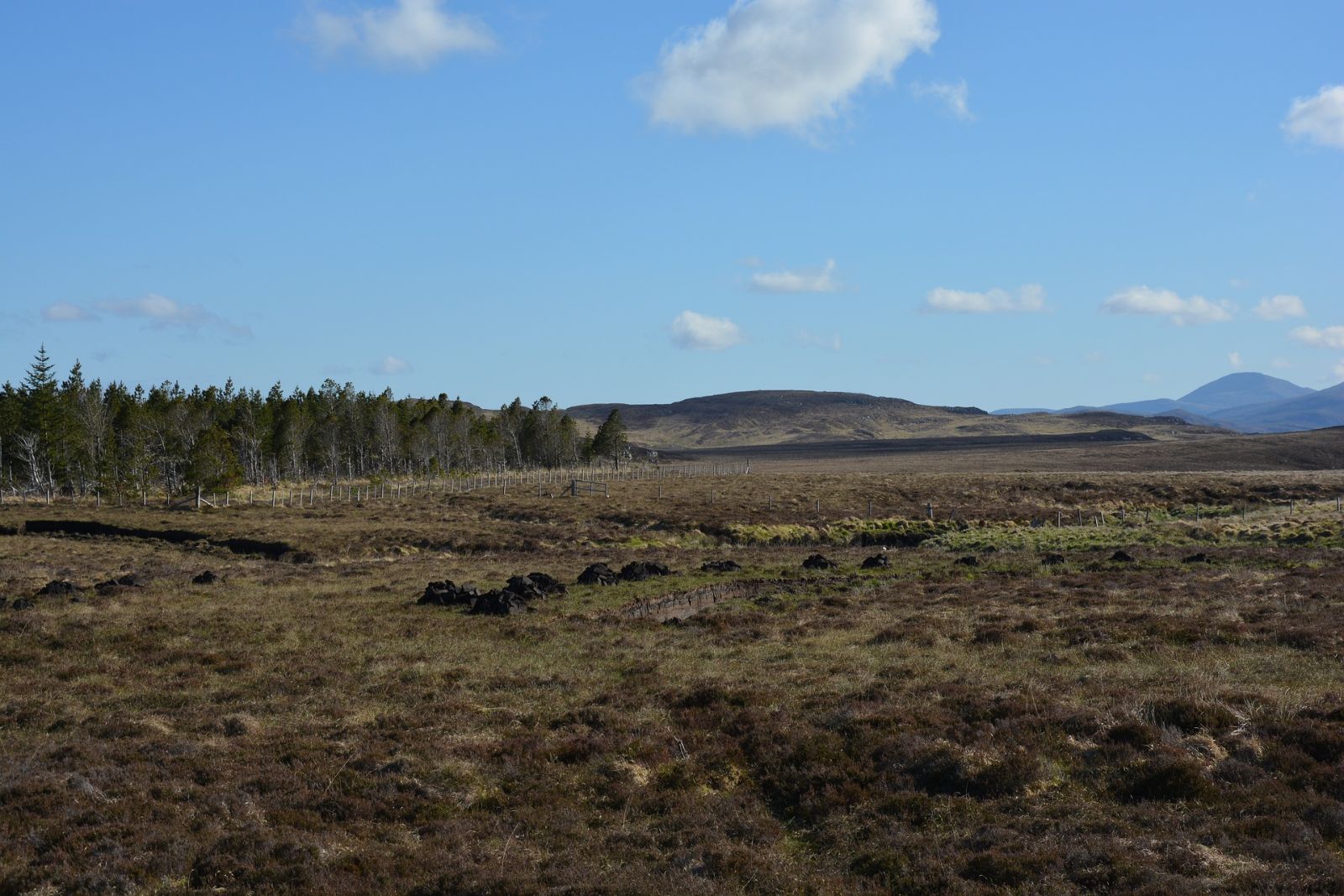 peatland image pixabay