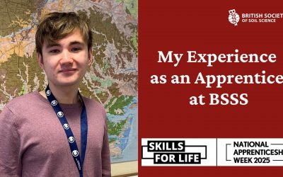 My Experience as an Apprentice at BSSS