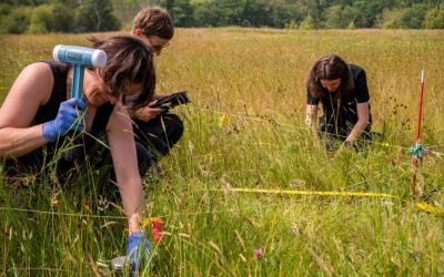 UKCEH Countryside Survey provides the first evidence of recovering national soil organic carbon in British croplands, after decades of decline